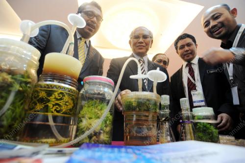 SK07_05052014_BIOBORNEO