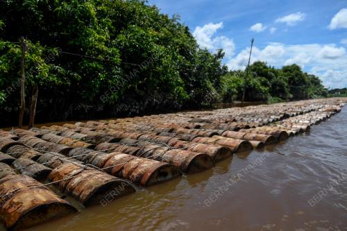 SK07_05122021_RUMBIA_SARAWAK