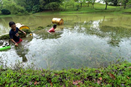 SK07_07032018_KOLAM
