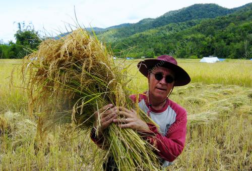 SK07_08042012_HOMESTAY
