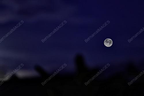 BULAN PURNAMA