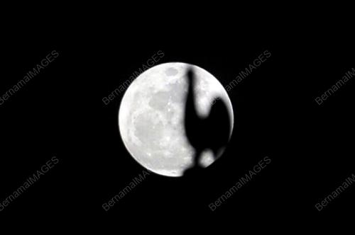 SK07_14112016_BULAN