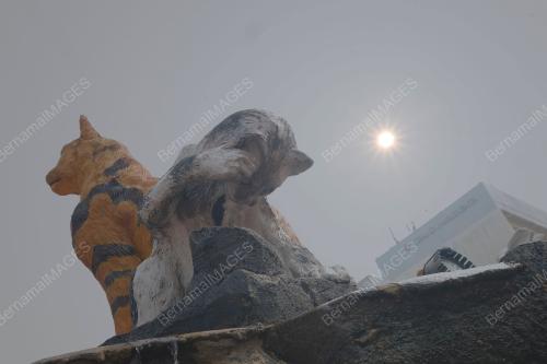 SK07_16092019_JEREBU