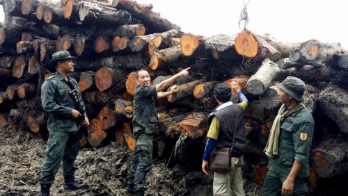SK07_18032015_KAYU_BAKAU
