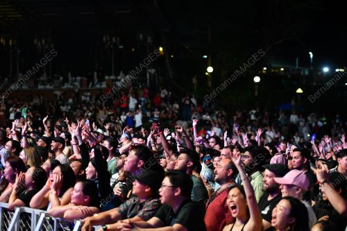 RAINFOREST WORLD MUSIC FESTIVAL (RWMF) 2025