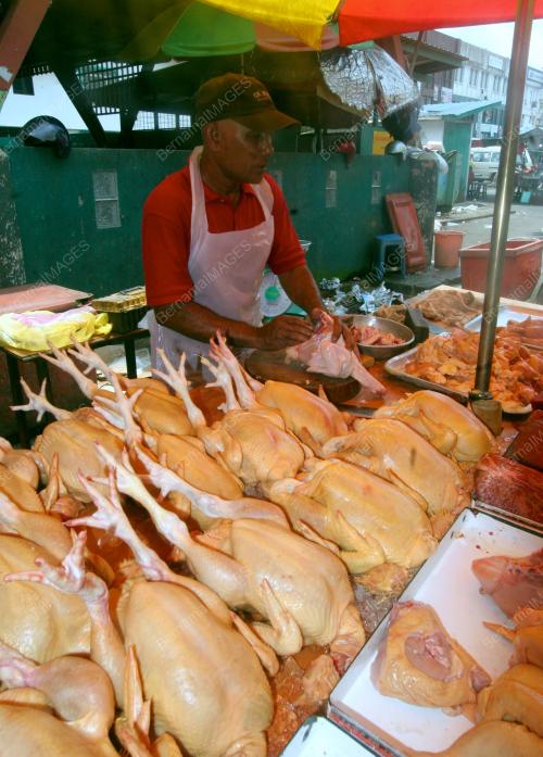 HARGA AYAM NAIK