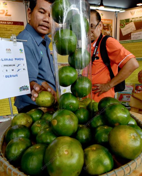 SK07_25102018_1018_LIMAU_MADU_AGROFEST