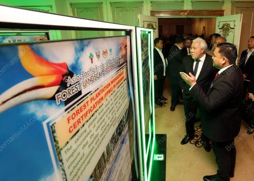 DATUK AMAR AWANG TENGAH ALI HASAN