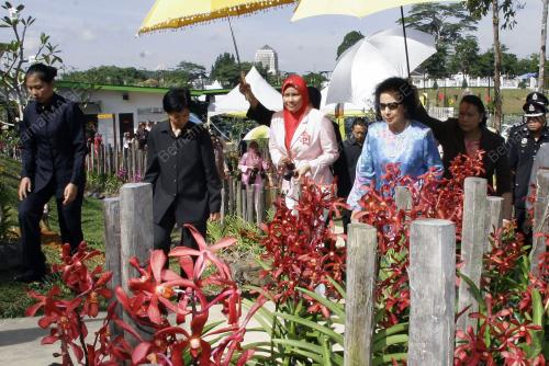 TUANKU NUR ZAHIRAH