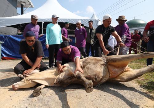 DATUK SERI FADILLAH YUSOF