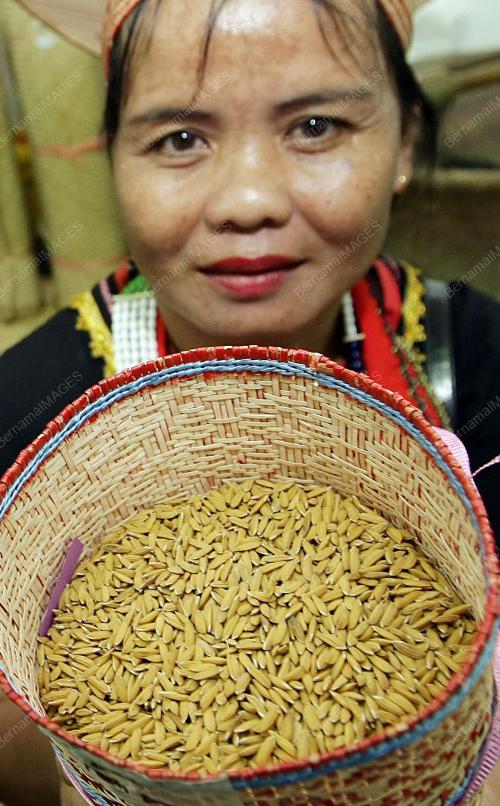 HARI PELADANAG, PENTERNAK DAN NELAYAN 2010