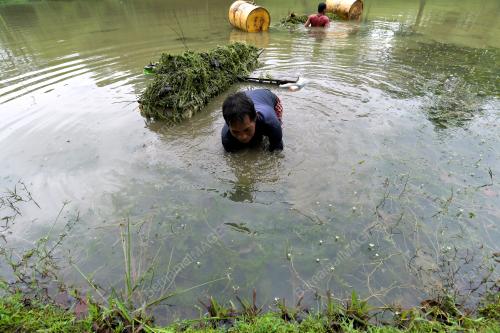 SK08_07032018_KOLAM