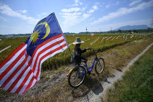 SK08_09082018_JALUR_GEMILANG