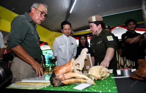 DATUK LEN TALIF SALLEH
