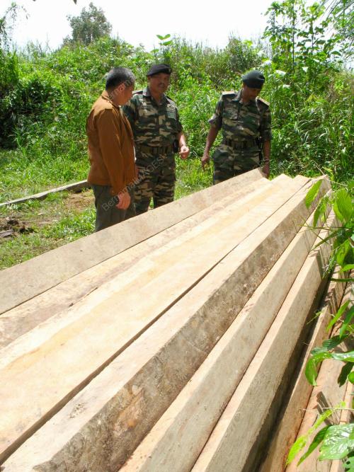 RAMPASAN KAYU BERGERGAJI