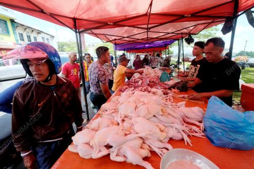 SK08_14062018_AYAM
