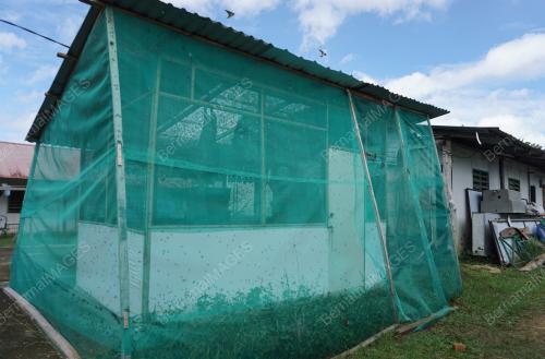 SK08_20112018_RUMAH_HIJAU