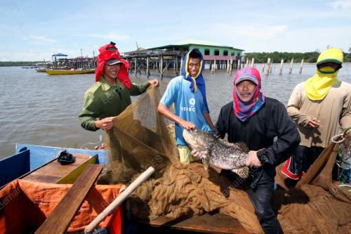 KAMPUNG AWAT-AWAT LAWAS