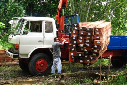 RAMPASAN KAYU BERGERGAJI