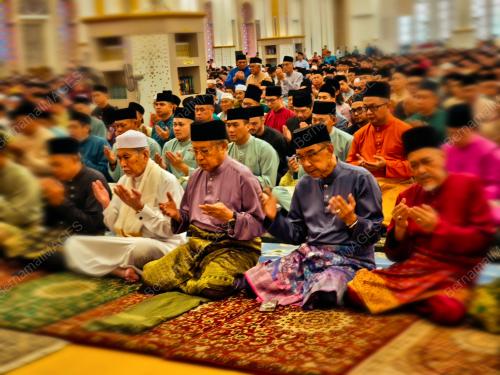 TUN DR WAN JUNAIDI TUANKU JAAFAR