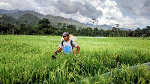 SK10_13022016_PENAN