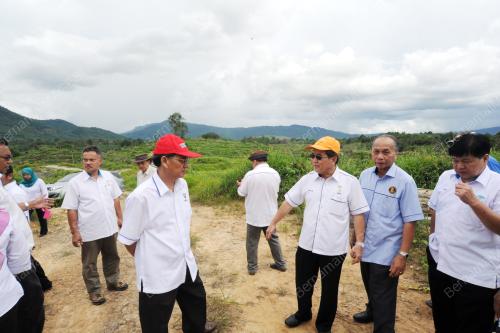 SK10_23052015_PEKEBUN_SAWIT