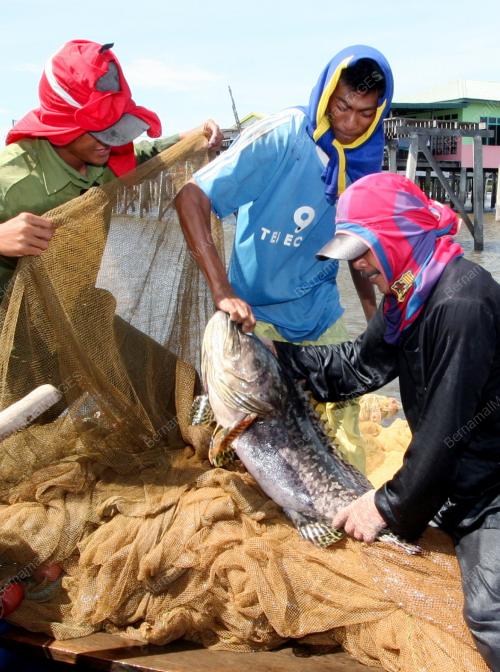 KAMPUNG AWAT-AWAT LAWAS