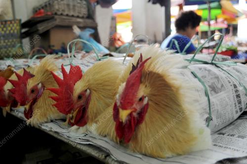 SK11_09042014_PASAR_SIBU
