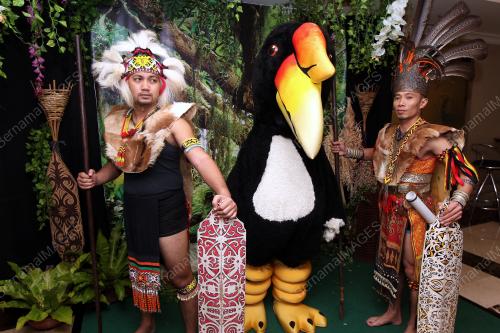 SK11_16052017_HORNBILL