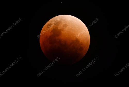SK11_31012018_GERHANA