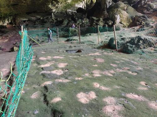 PAGAR NIAH
