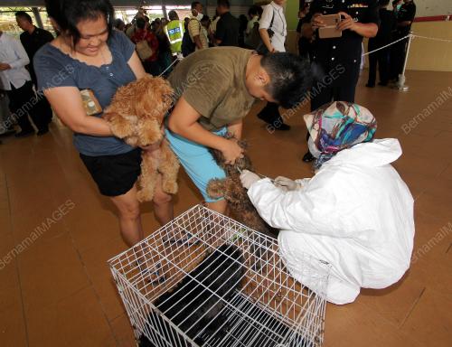 SK13_20072017_CEGAH_ANJING_GILA