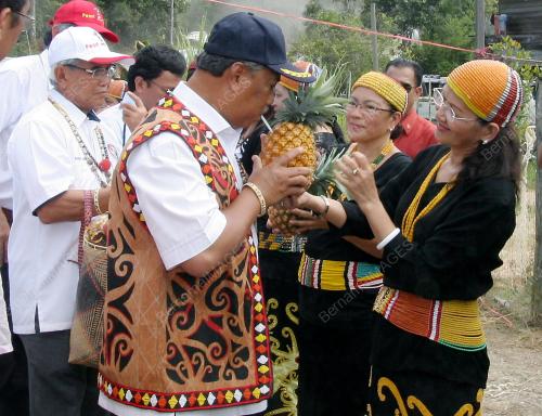 SK13_25022012_NENAS