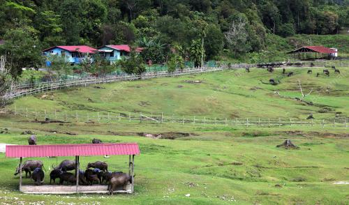 ADA Ã”MOZZARELLAÃ• DAN Ã”KUNDASANGÃ• DI LAWAS