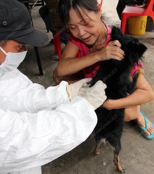 SK14_20072017_CEGAH_ANJING_GILA