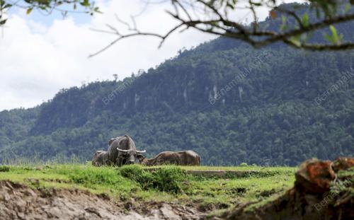 ADA Ã”MOZZARELLAÃ• DAN Ã”KUNDASANGÃ• DI LAWAS
