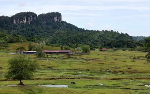 ADA Ã”MOZZARELLAÃ• DAN Ã”KUNDASANGÃ• DI LAWAS