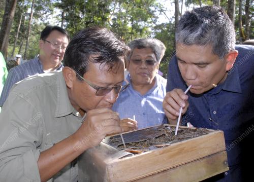 SK29_16042016_SHABERY_KELULUT