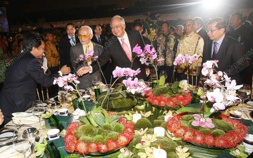 MOHD NAJIB TUN ABDUL RAZAK