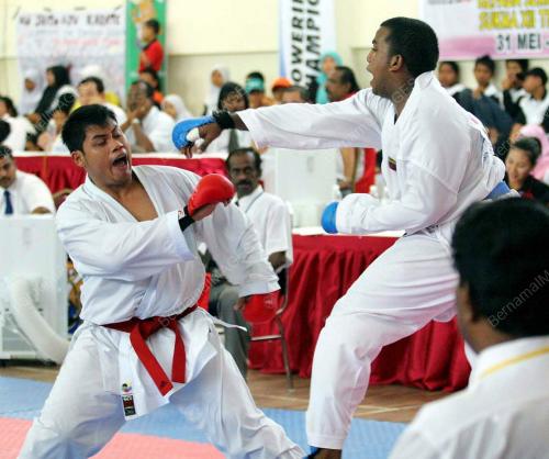 SUKMA XII 2008