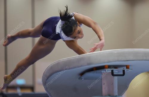 ACARA GIMNASTIK ARTISTIK
