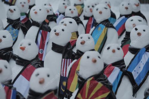 SWZ03_24012015_SNOWMAN