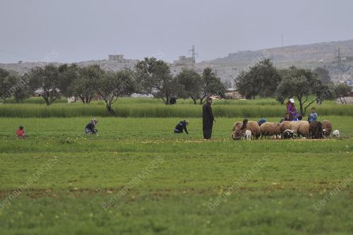 SYR06_19042019_REZEKI_PELARIAN_SYRIA