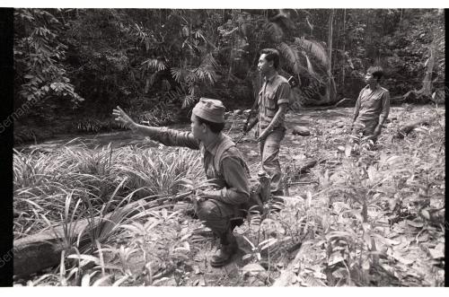SearchMissingTrekkers