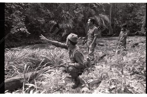 SearchMissingTrekkers