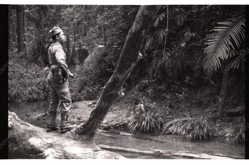 SearchMissingTrekkers