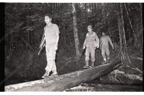 SearchMissingTrekkers