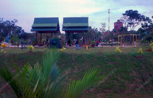 TAMANPE1_20012016