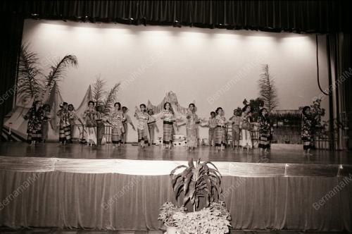 TG011_22111980_PESTA_SENI