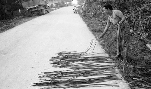Perusahaan menganyam mengkuang